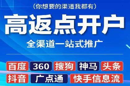 行业领先SEM服务公司案例研究